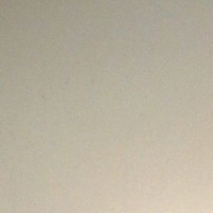 Meet your Posher, Ashton